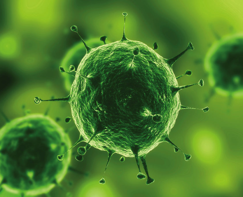 3d virus