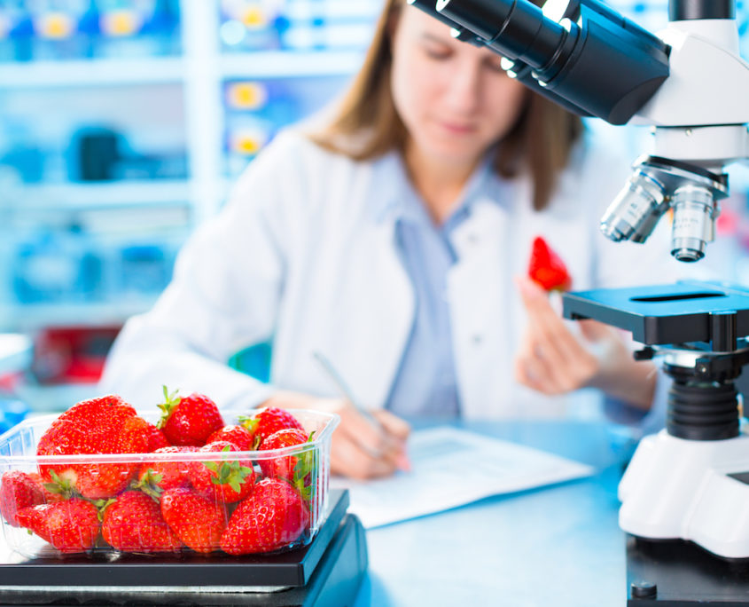 qualita sicurezza alimenti
